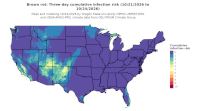 thumbs/BROT_Cum_Inf_Risk_3day_20261024.t.jpg