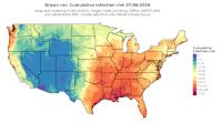 thumbs/BROT_Cum_Inf_Risk_Total_20260706.t.jpg
