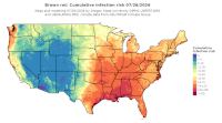 thumbs/BROT_Cum_Inf_Risk_Total_20260726.t.jpg