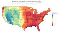 thumbs/BROT_Cum_Inf_Risk_Total_20261025.t.jpg